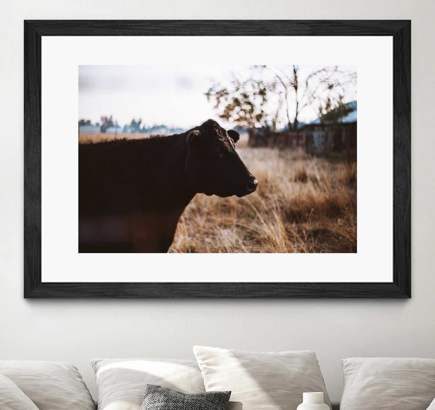 Cow by Pexels on GIANT ART - brown animals