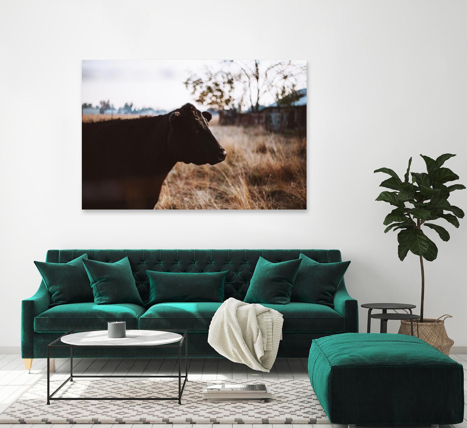 Cow by Pexels on GIANT ART - brown animals
