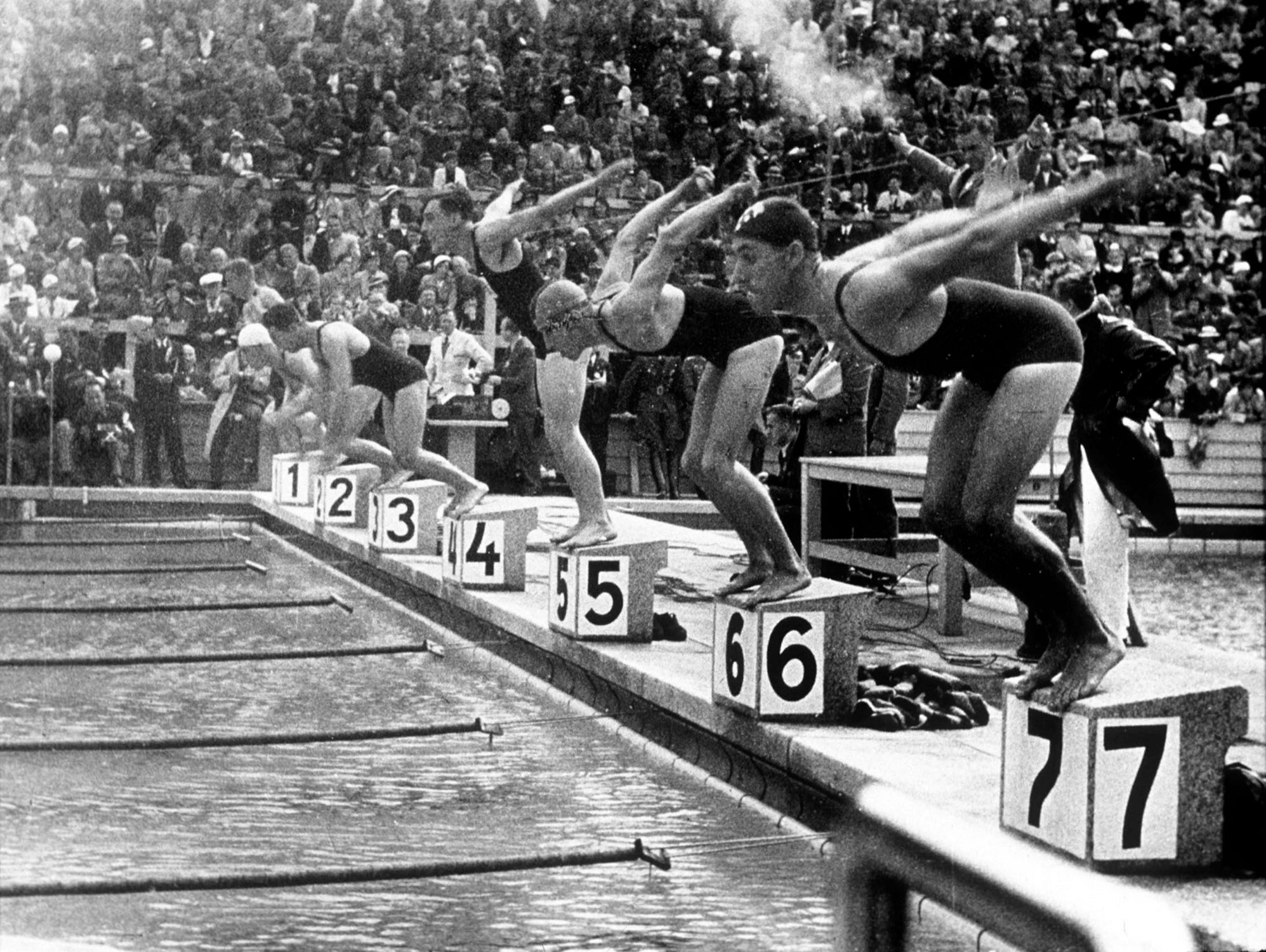 swimming competition at berlin Olympic Games in 1936  by Bridgeman Images  on GIANT ART - black and white photgraphy