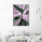 Agave by Caterina Lo Cicero on GIANT ART - pink pink