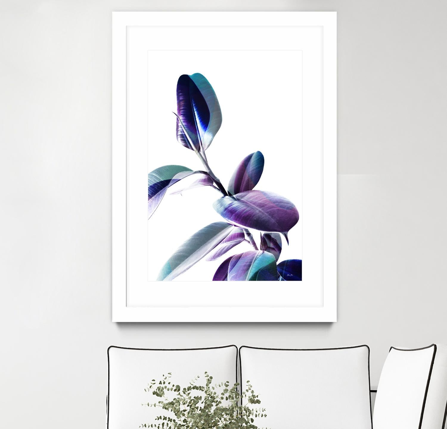 Minimal Rubber foliage in Blue and Purple on White by Dominique Vari on GIANT ART