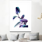 Minimal Rubber foliage in Blue and Purple on White by Dominique Vari on GIANT ART