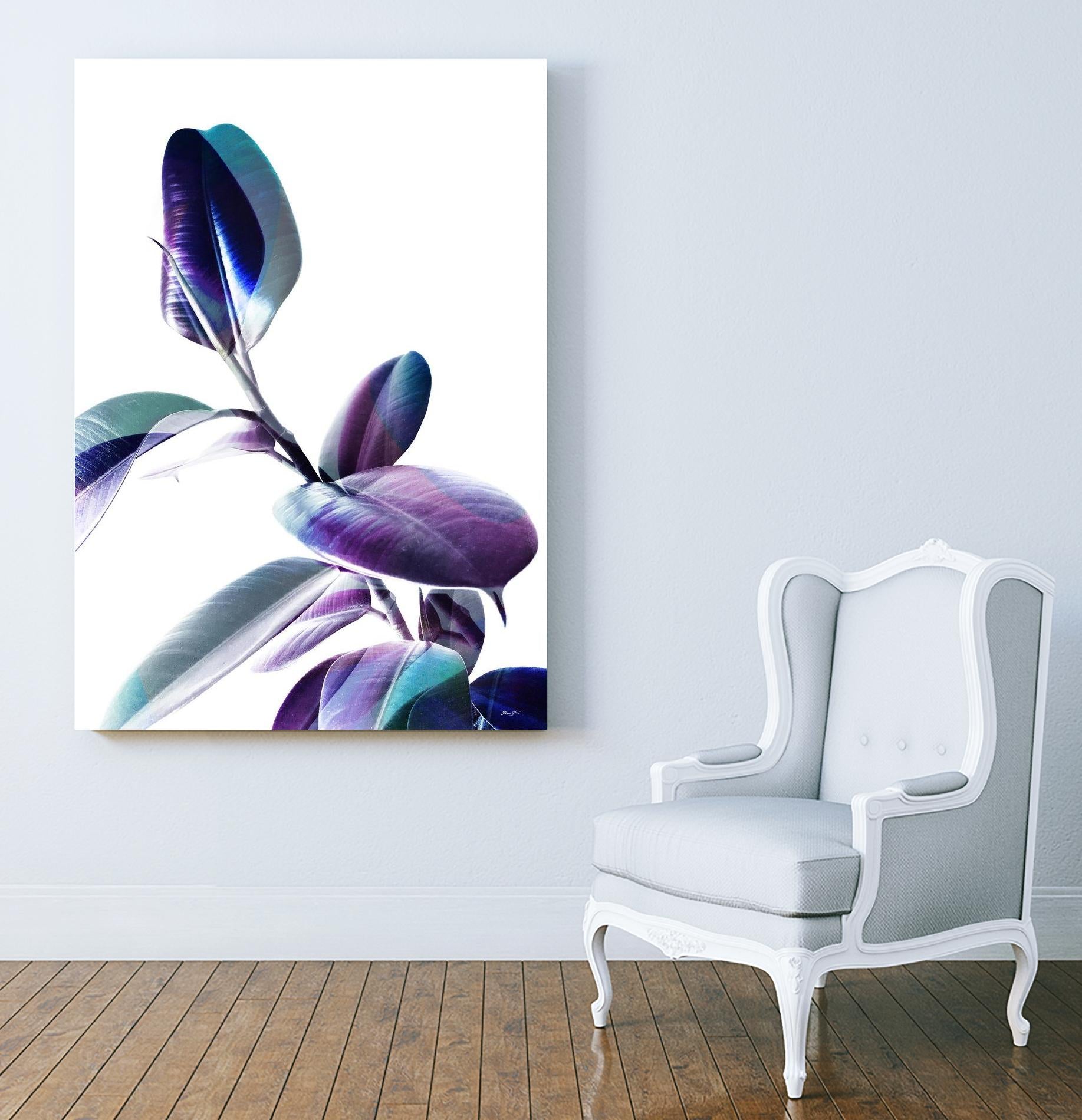 Minimal Rubber foliage in Blue and Purple on White by Dominique Vari on GIANT ART