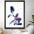 Minimal Rubber foliage in Blue and Purple on White by Dominique Vari on GIANT ART