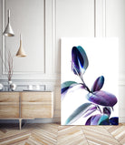 Minimal Rubber foliage in Blue and Purple on White by Dominique Vari on GIANT ART