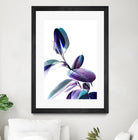 Minimal Rubber foliage in Blue and Purple on White by Dominique Vari on GIANT ART