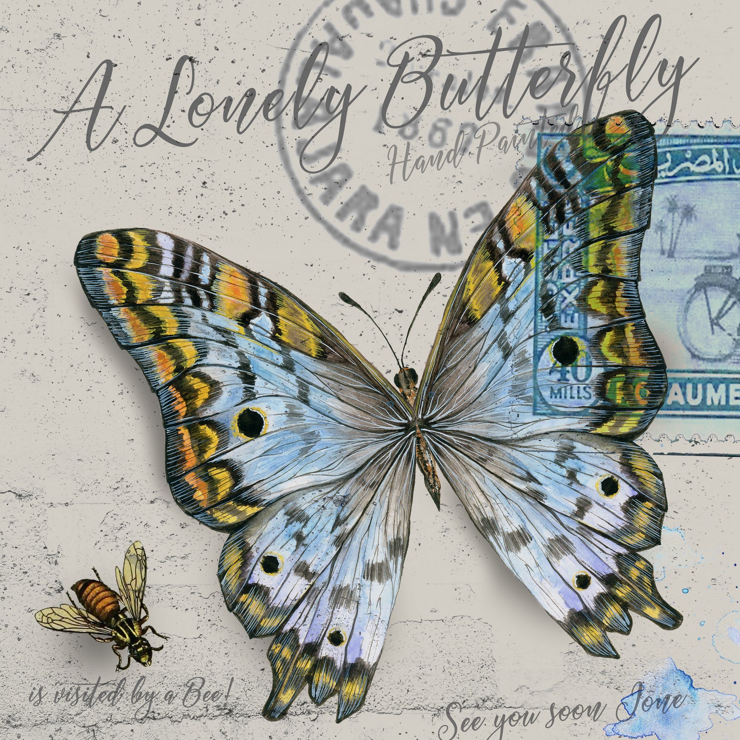 Lonely Butterfly Blue by David Loblaw on GIANT ART - blue photo illustration