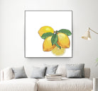 Limoncello by Oriana Cordero on GIANT ART - yellow photo illustration