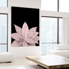 Blush Agave on Black #1 #tropical #decor #art by Anita & Bella Jantz on GIANT ART - pink photo illustration