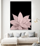 Blush Agave on Black #1 #tropical #decor #art by Anita & Bella Jantz on GIANT ART - pink photo illustration