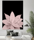 Blush Agave on Black #1 #tropical #decor #art by Anita & Bella Jantz on GIANT ART - pink photo illustration