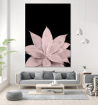 Blush Agave on Black #1 #tropical #decor #art by Anita & Bella Jantz on GIANT ART - pink photo illustration