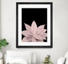 Blush Agave on Black #1 #tropical #decor #art by Anita & Bella Jantz on GIANT ART - pink photo illustration