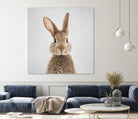 Rabbit - Colorful by Gal Pittel on GIANT ART - brown photo manipulation