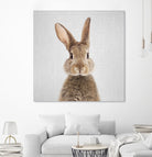 Rabbit - Colorful by Gal Pittel on GIANT ART - brown photo manipulation