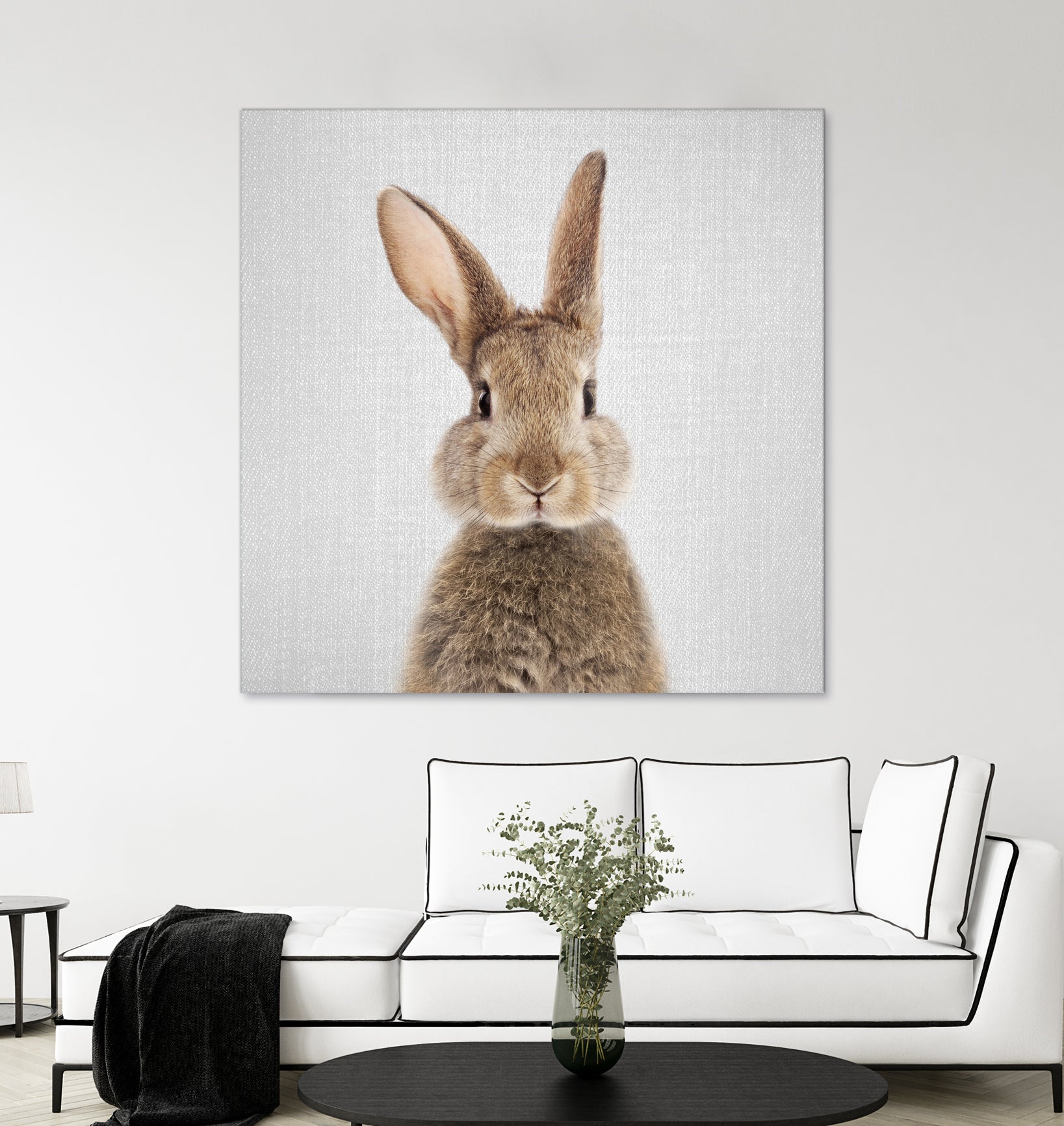 Rabbit - Colorful by Gal Pittel on GIANT ART - brown photo manipulation