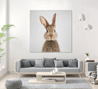 Rabbit - Colorful by Gal Pittel on GIANT ART - brown photo manipulation