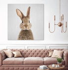 Rabbit - Colorful by Gal Pittel on GIANT ART - brown photo manipulation