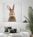 Rabbit - Colorful by Gal Pittel on GIANT ART - brown photo manipulation