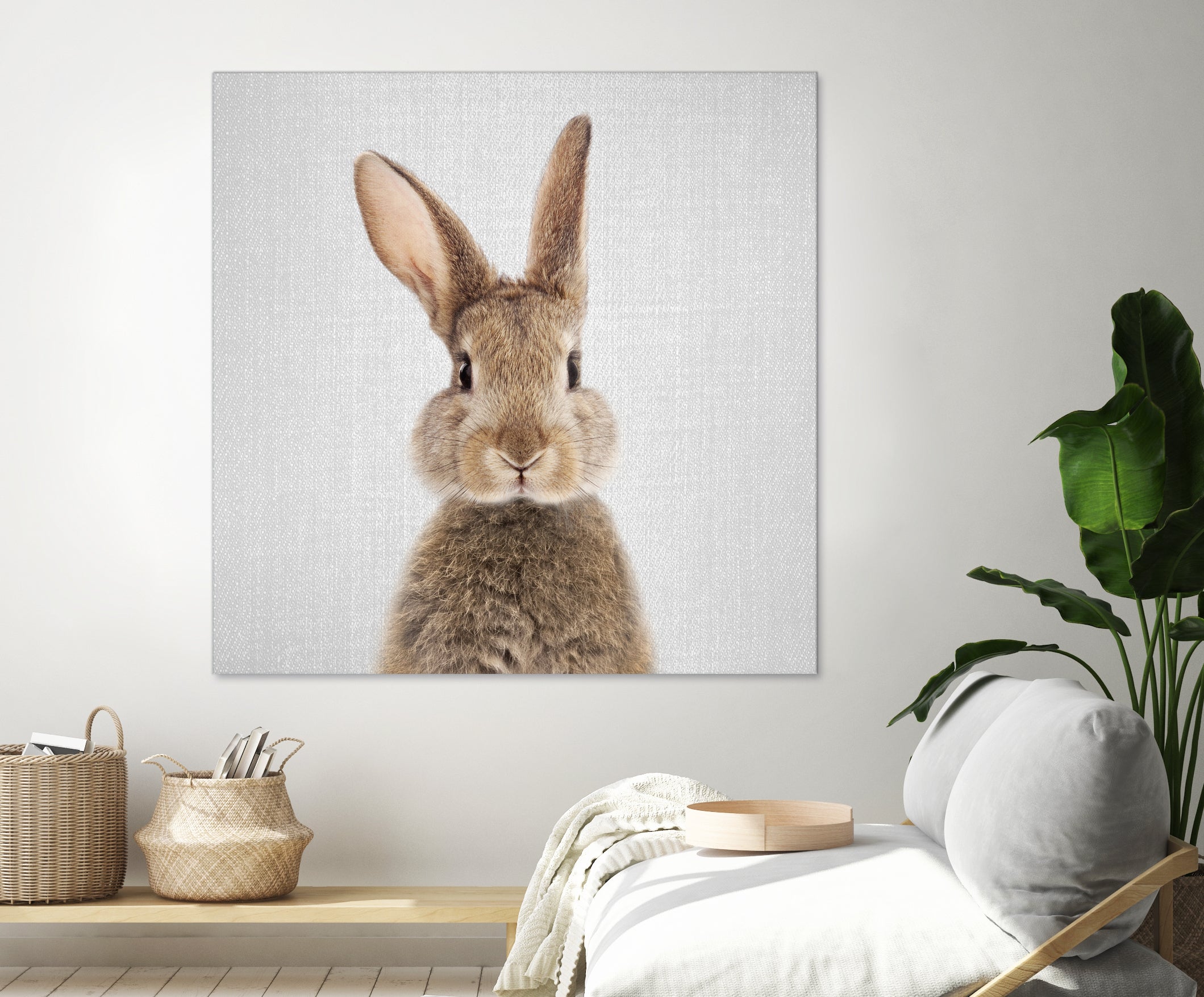 Rabbit - Colorful by Gal Pittel on GIANT ART - brown photo manipulation