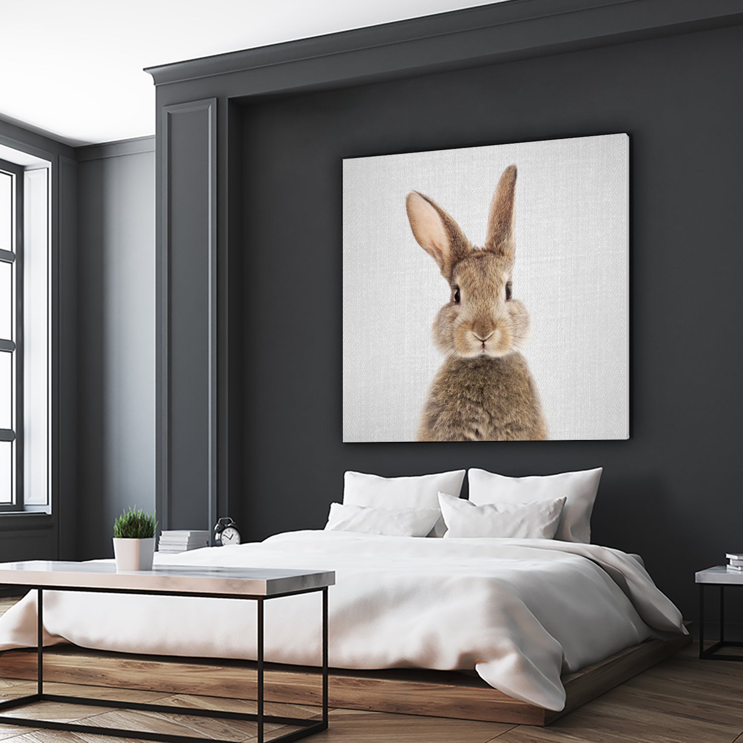 Rabbit - Colorful by Gal Pittel on GIANT ART - brown photo manipulation