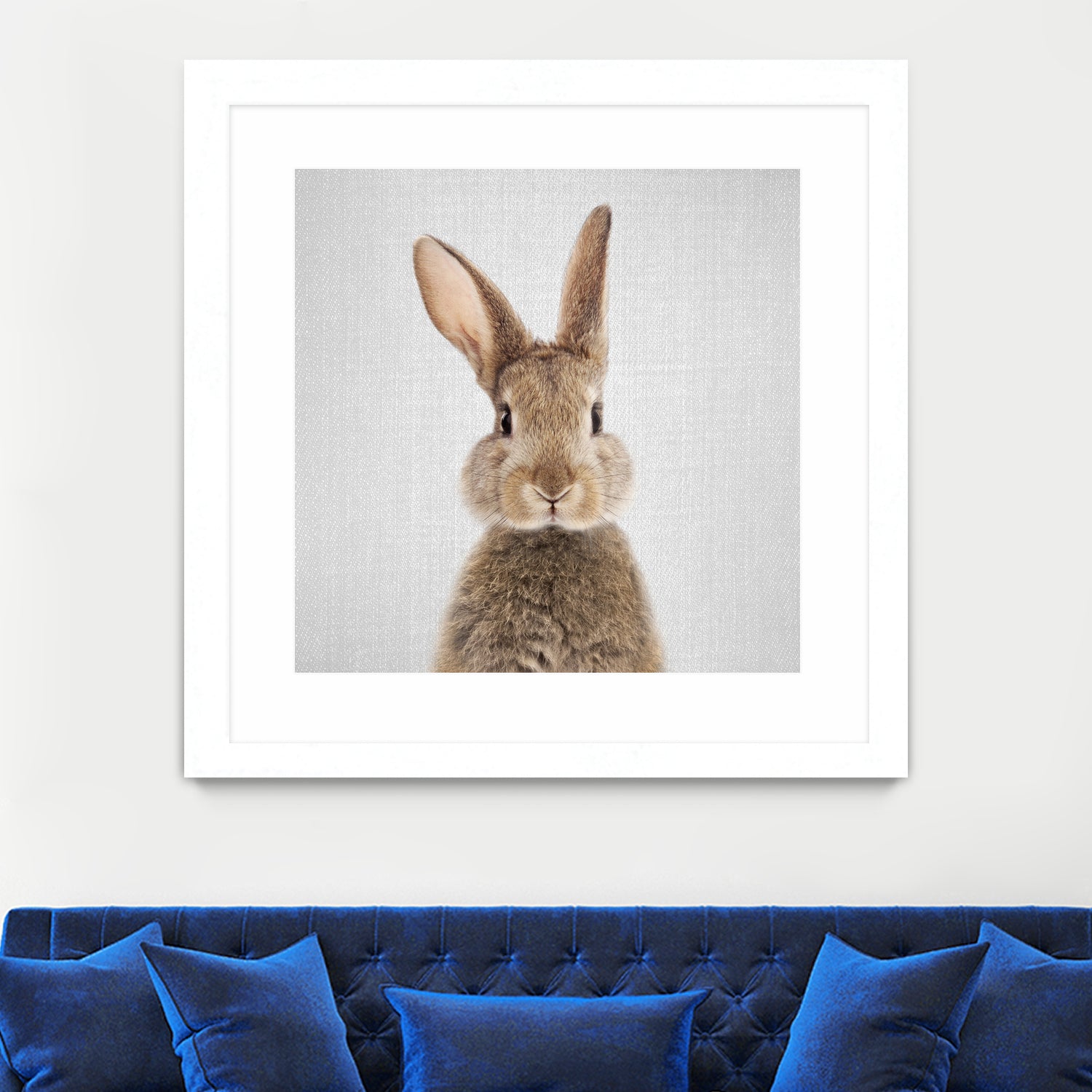 Rabbit - Colorful by Gal Pittel on GIANT ART - brown photo manipulation