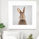 Rabbit - Colorful by Gal Pittel on GIANT ART - brown photo manipulation