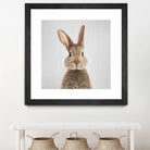 Rabbit - Colorful by Gal Pittel on GIANT ART - brown photo manipulation