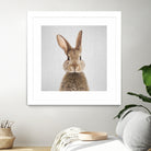 Rabbit - Colorful by Gal Pittel on GIANT ART - brown photo manipulation