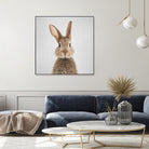 Rabbit - Colorful by Gal Pittel on GIANT ART - brown photo manipulation