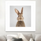 Rabbit - Colorful by Gal Pittel on GIANT ART - brown photo manipulation