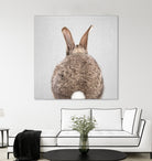 Rabbit Tail - Colorful by Gal Pittel on GIANT ART - brown photo illustration