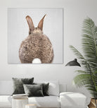 Rabbit Tail - Colorful by Gal Pittel on GIANT ART - brown photo illustration