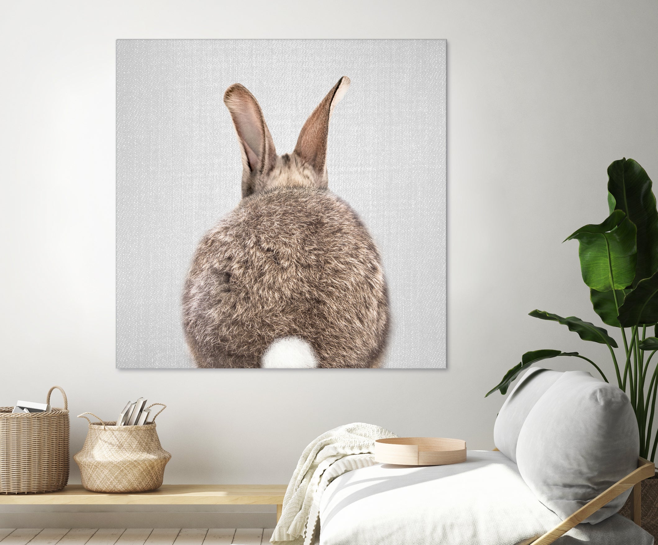 Rabbit Tail - Colorful by Gal Pittel on GIANT ART - brown photo illustration