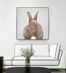 Rabbit Tail - Colorful by Gal Pittel on GIANT ART - brown photo illustration