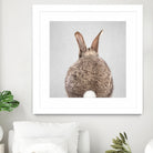 Rabbit Tail - Colorful by Gal Pittel on GIANT ART - brown photo illustration