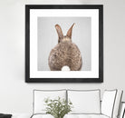 Rabbit Tail - Colorful by Gal Pittel on GIANT ART - brown photo illustration