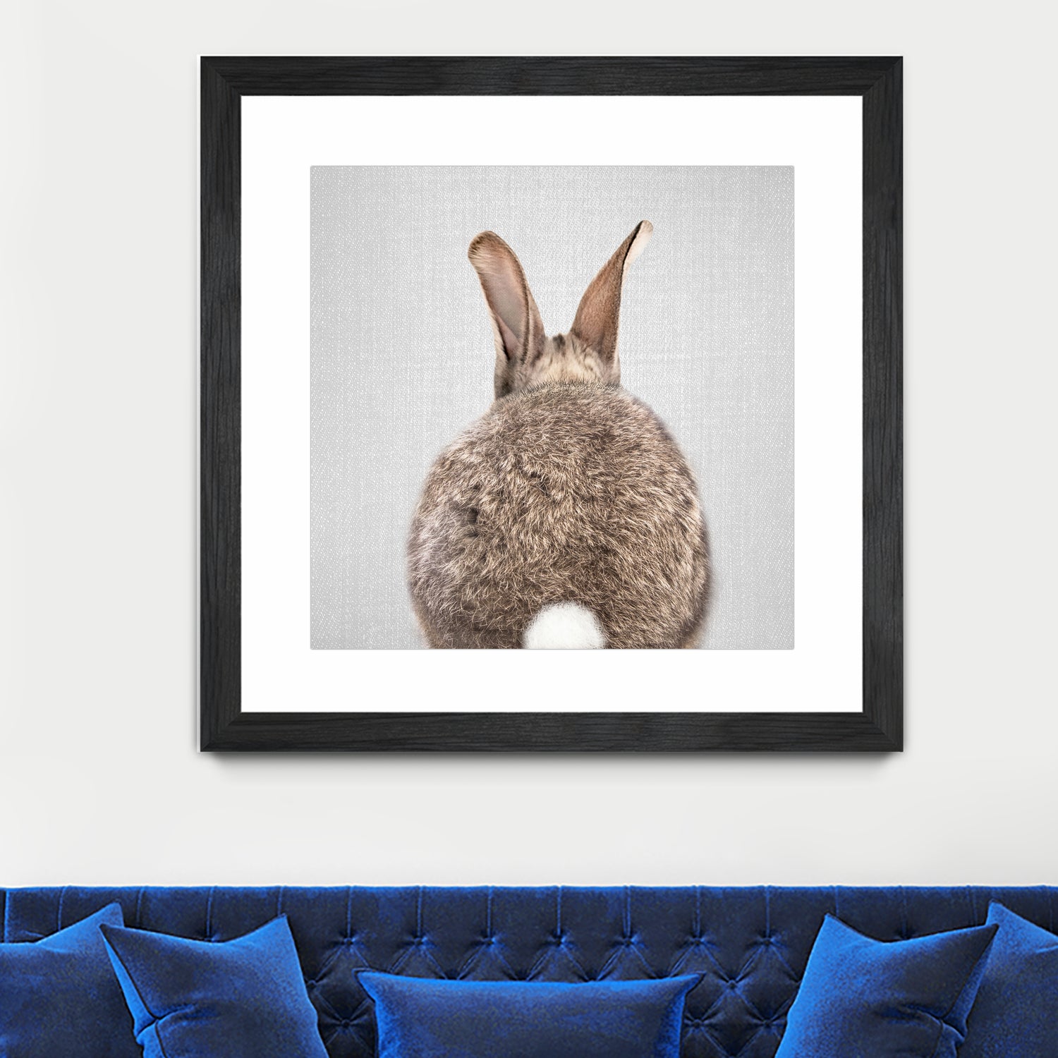 Rabbit Tail - Colorful by Gal Pittel on GIANT ART - brown photo illustration