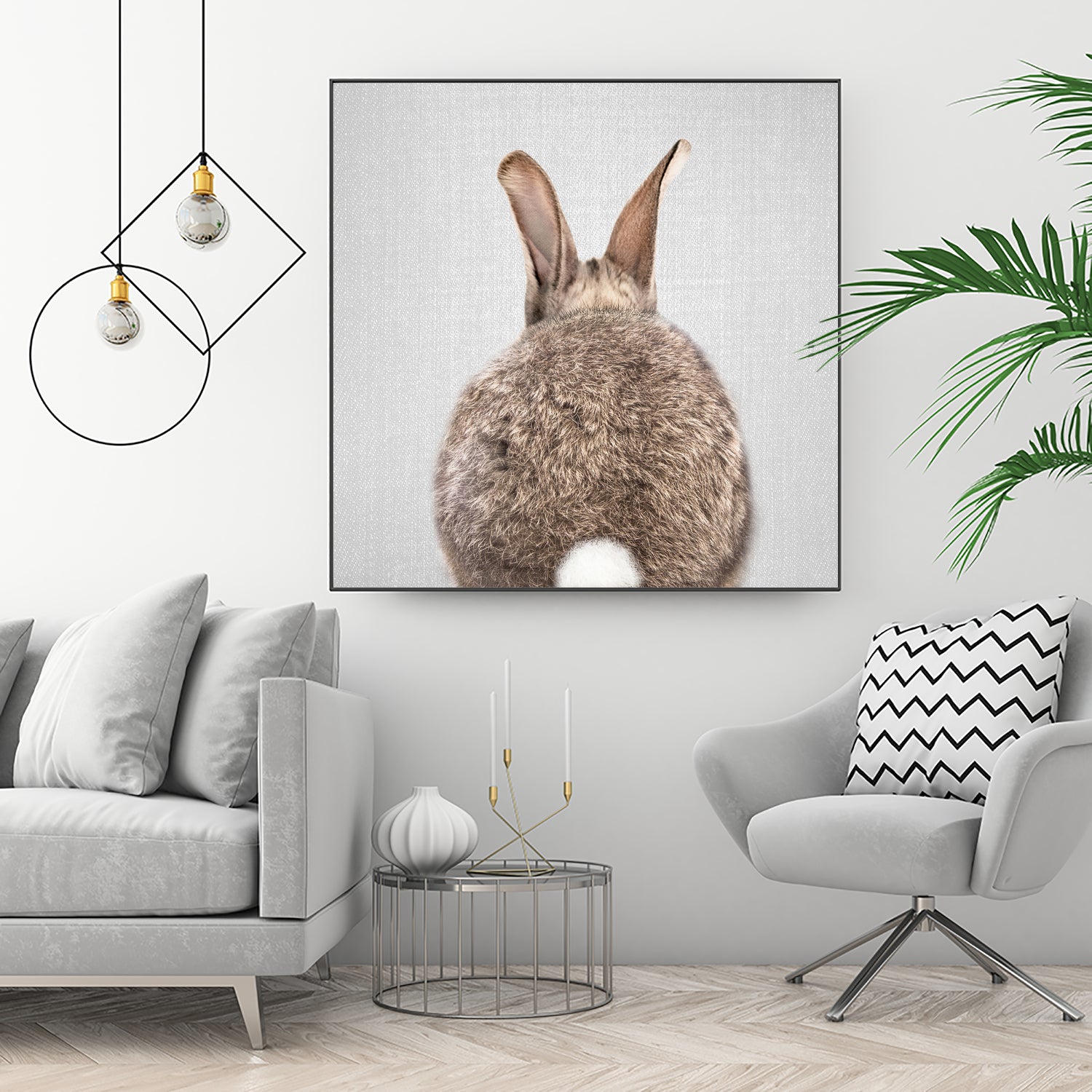 Rabbit Tail - Colorful by Gal Pittel on GIANT ART - brown photo illustration