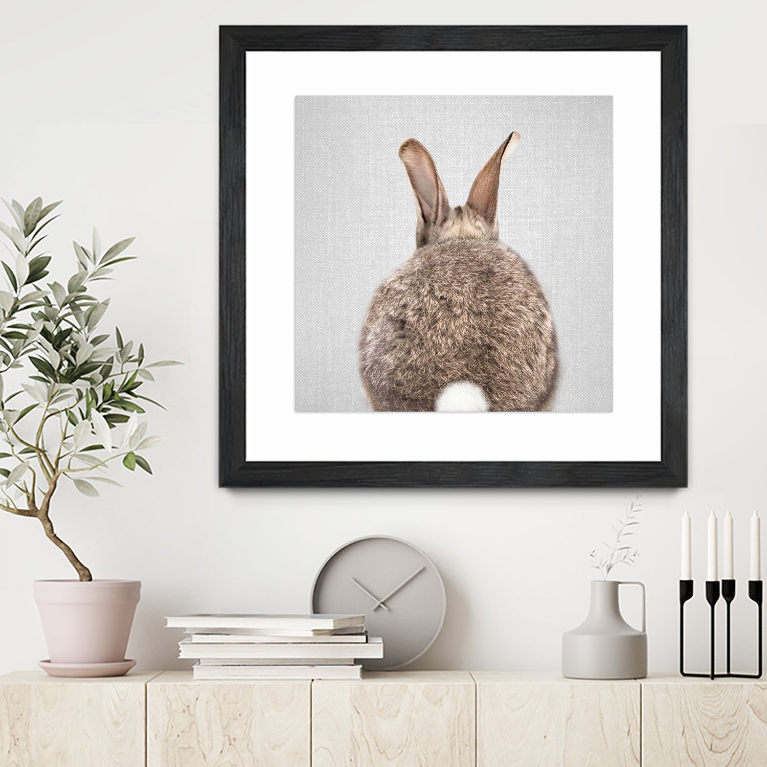 Rabbit Tail - Colorful by Gal Pittel on GIANT ART - brown photo illustration