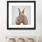 Rabbit Tail - Colorful by Gal Pittel on GIANT ART - brown photo illustration