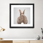 Rabbit Tail - Colorful by Gal Pittel on GIANT ART - brown photo illustration