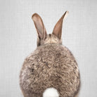 Rabbit Tail - Colorful by Gal Pittel on GIANT ART - brown photo illustration