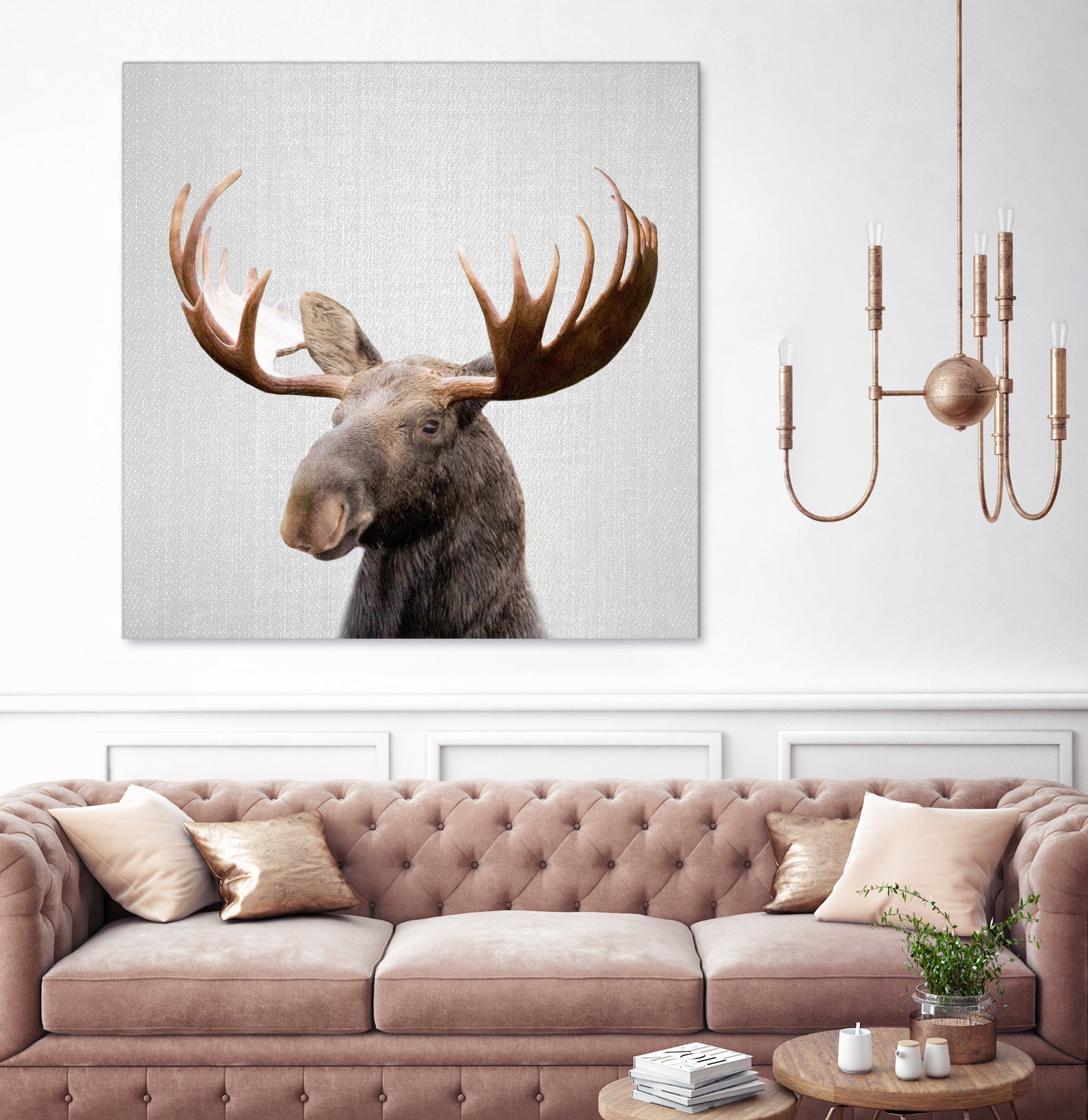 Moose - Colorful by Gal Pittel on GIANT ART - brown photo illustration