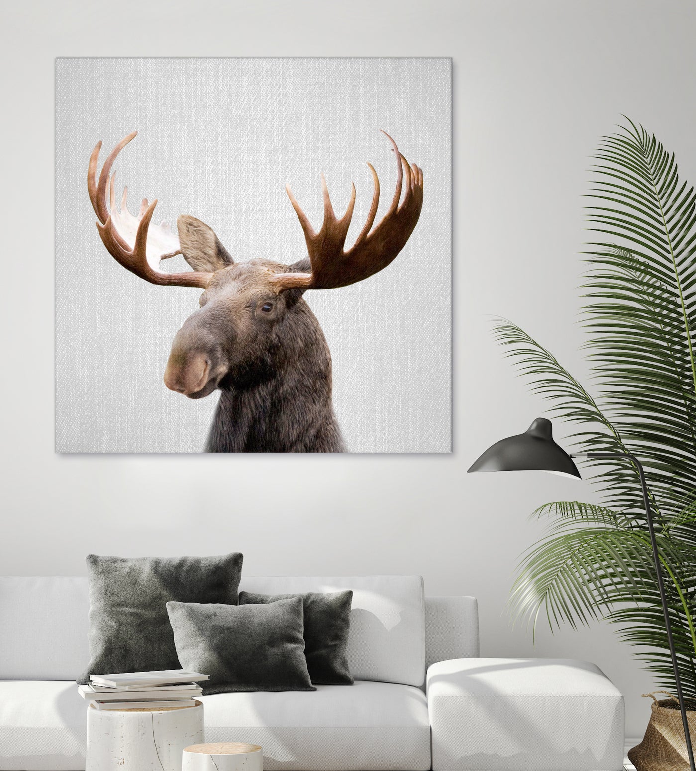 Moose - Colorful by Gal Pittel on GIANT ART - brown photo illustration