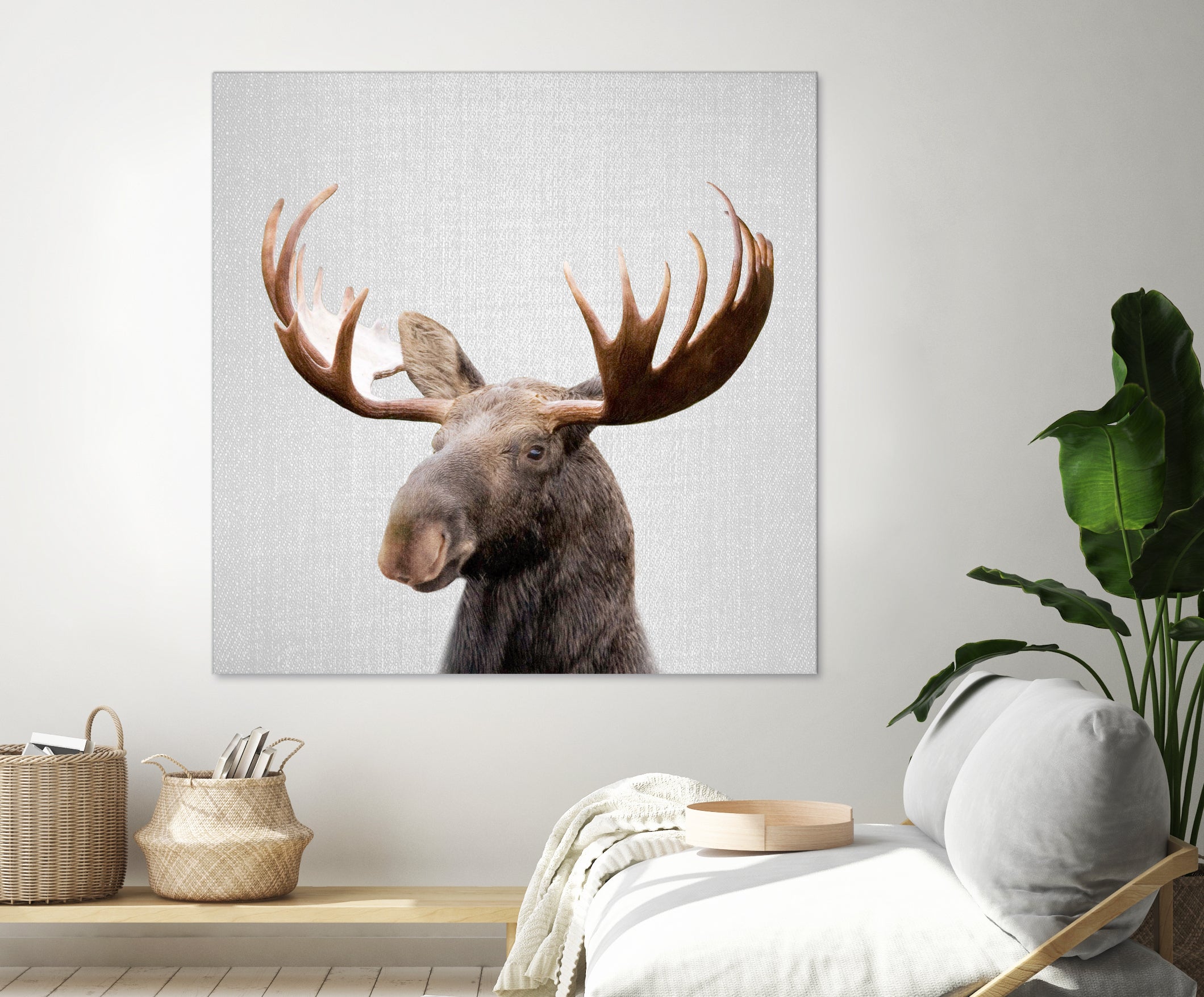 Moose - Colorful by Gal Pittel on GIANT ART - brown photo illustration