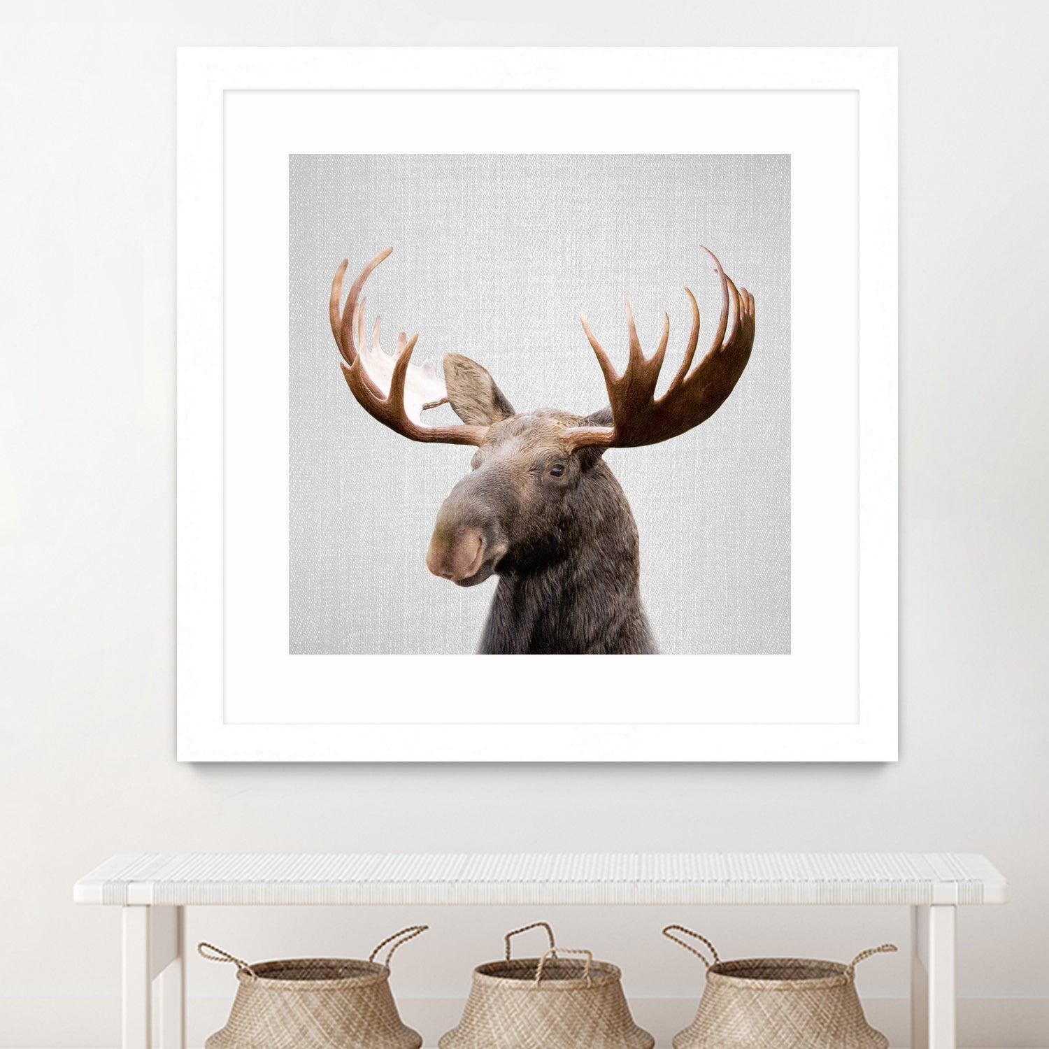 Moose - Colorful by Gal Pittel on GIANT ART - brown photo illustration