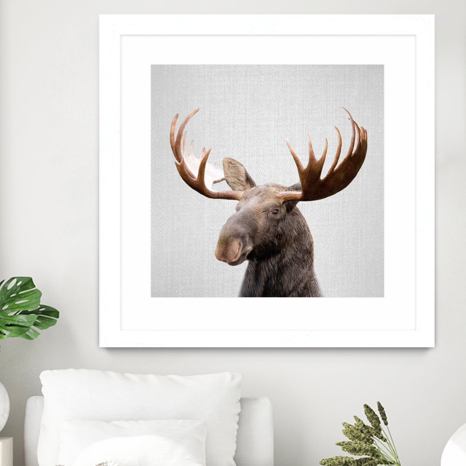 Moose - Colorful by Gal Pittel on GIANT ART - brown photo illustration