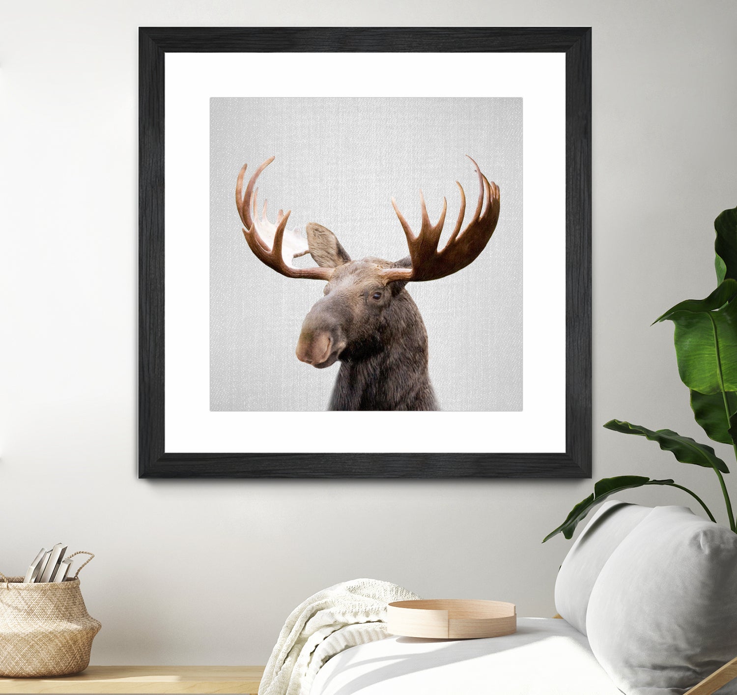 Moose - Colorful by Gal Pittel on GIANT ART - brown photo illustration