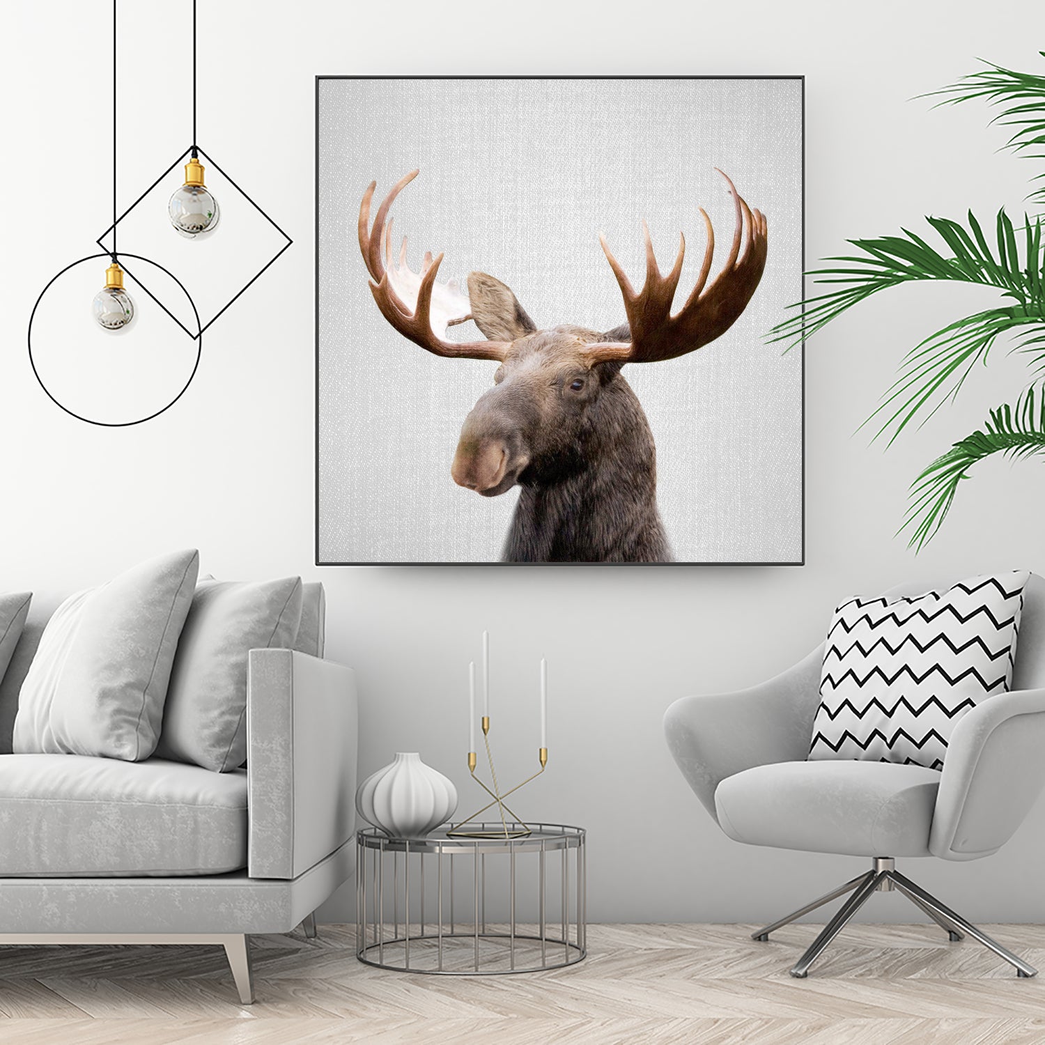 Moose - Colorful by Gal Pittel on GIANT ART - brown photo illustration